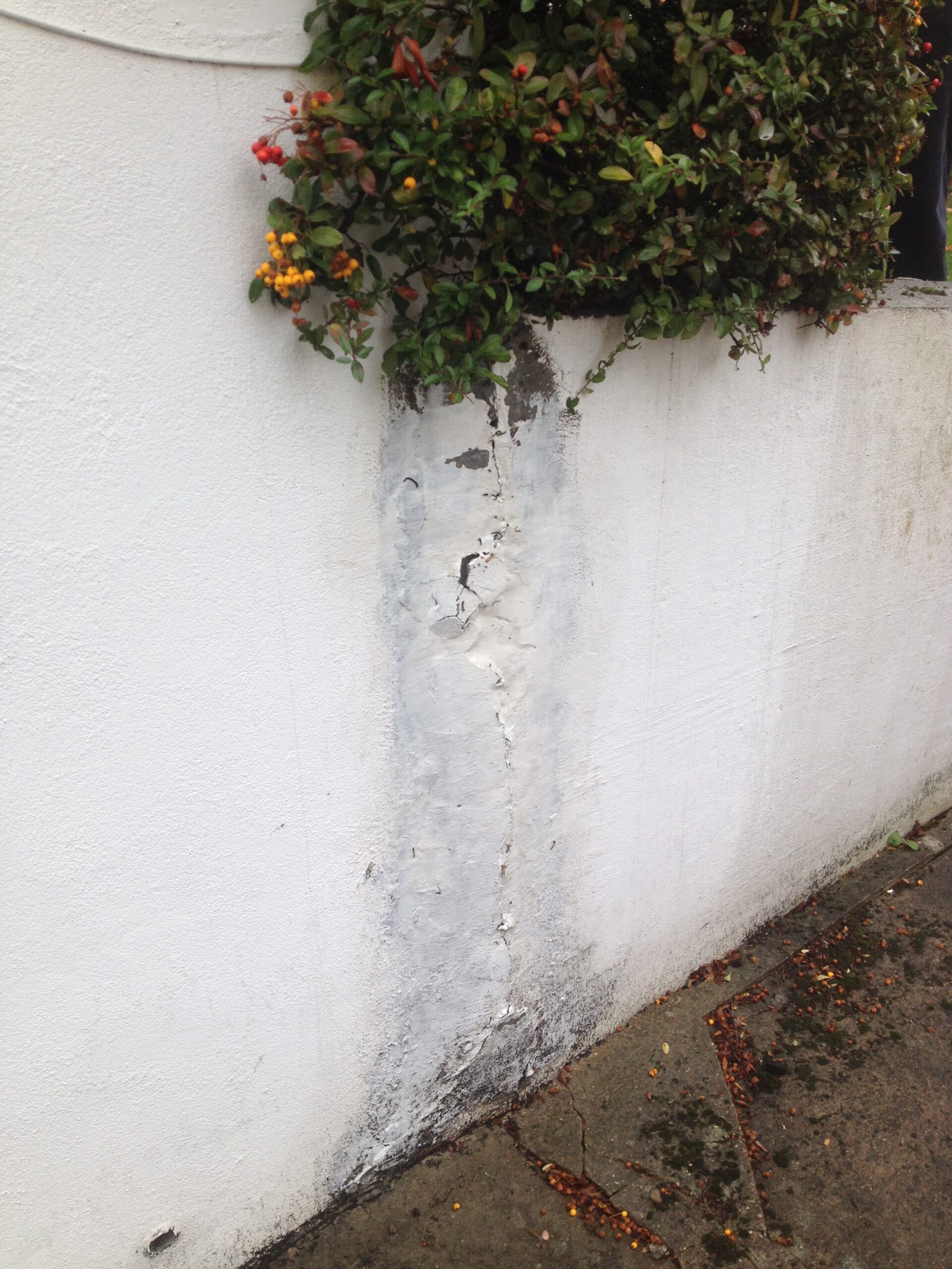 Possible damp - Structural Inspection